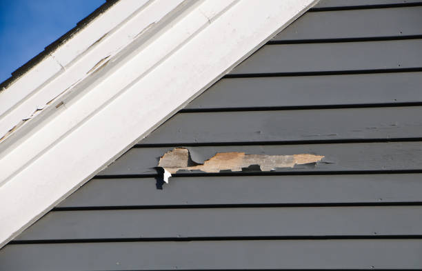 Best Appliance Removal  in Hudson Lake, IN
